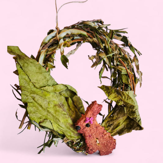 Coronita sauce coquette