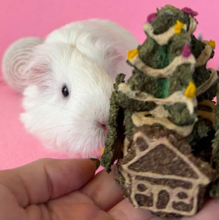 Pastel Villa Natividad