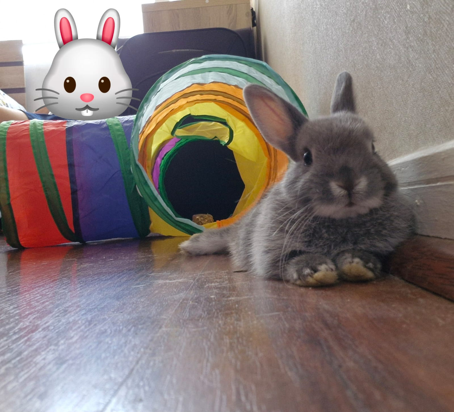 Super Túnel 3 Vías