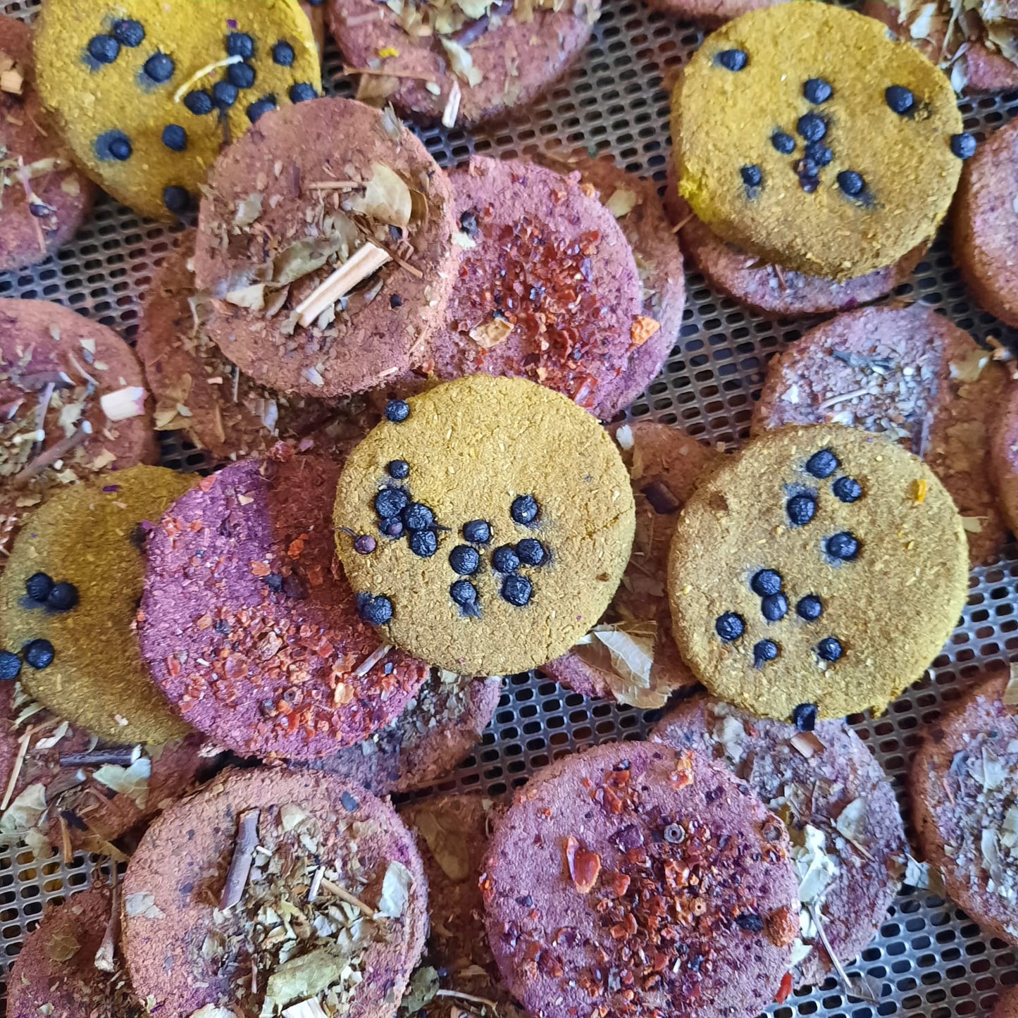 Chips Cookie Patagonia