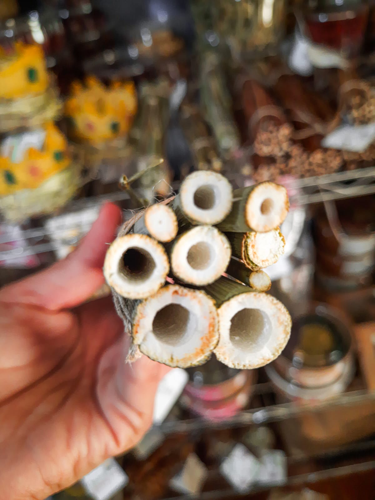 Palitos de Hinojo