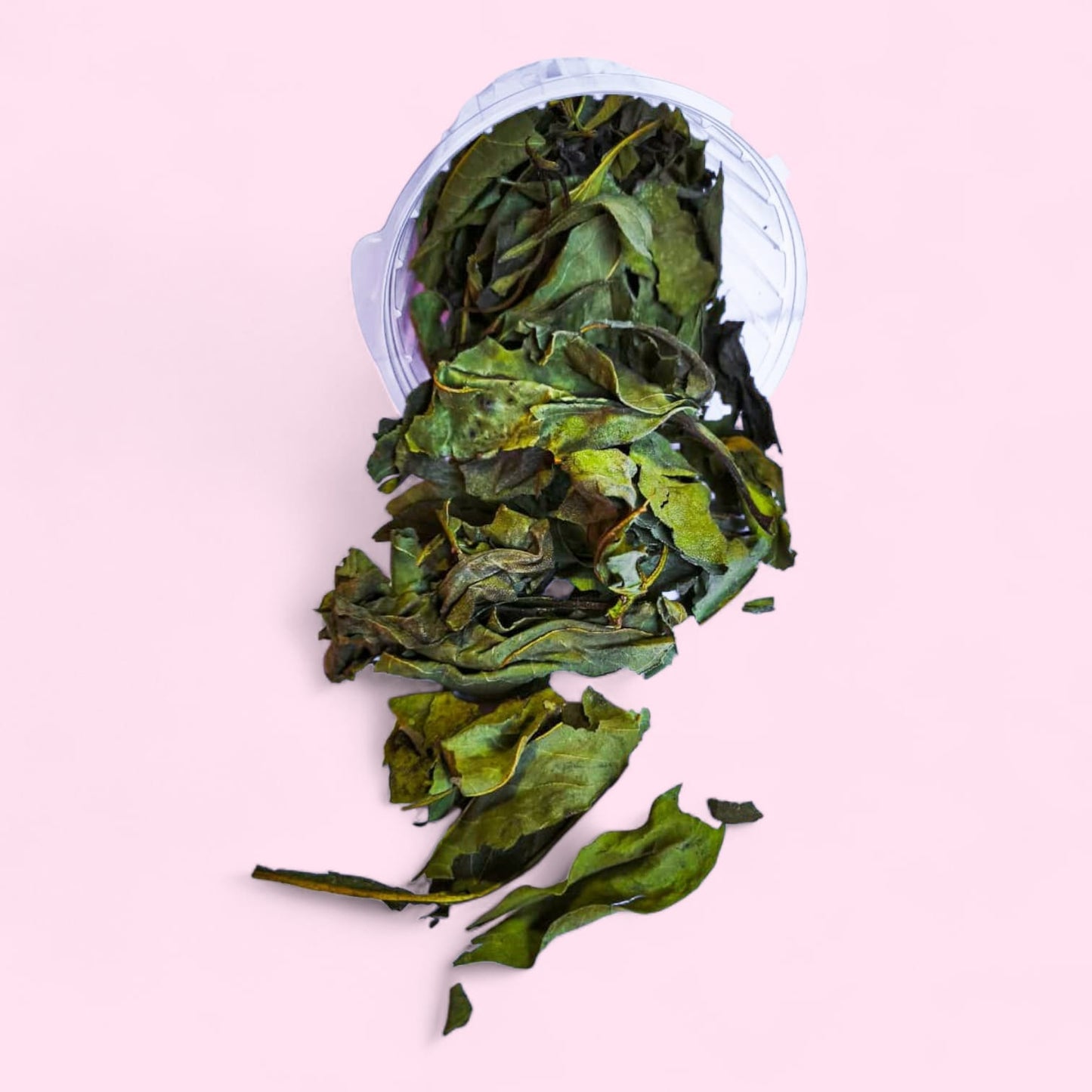 Cup de hojas de topinambur