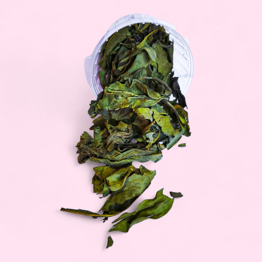 Cup de hojas de topinambur