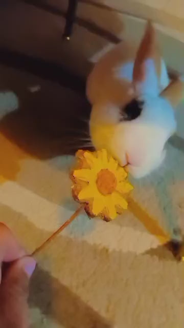 conejo-flor-ramo