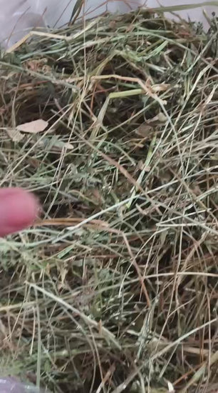 heno-alfalfa-ballica